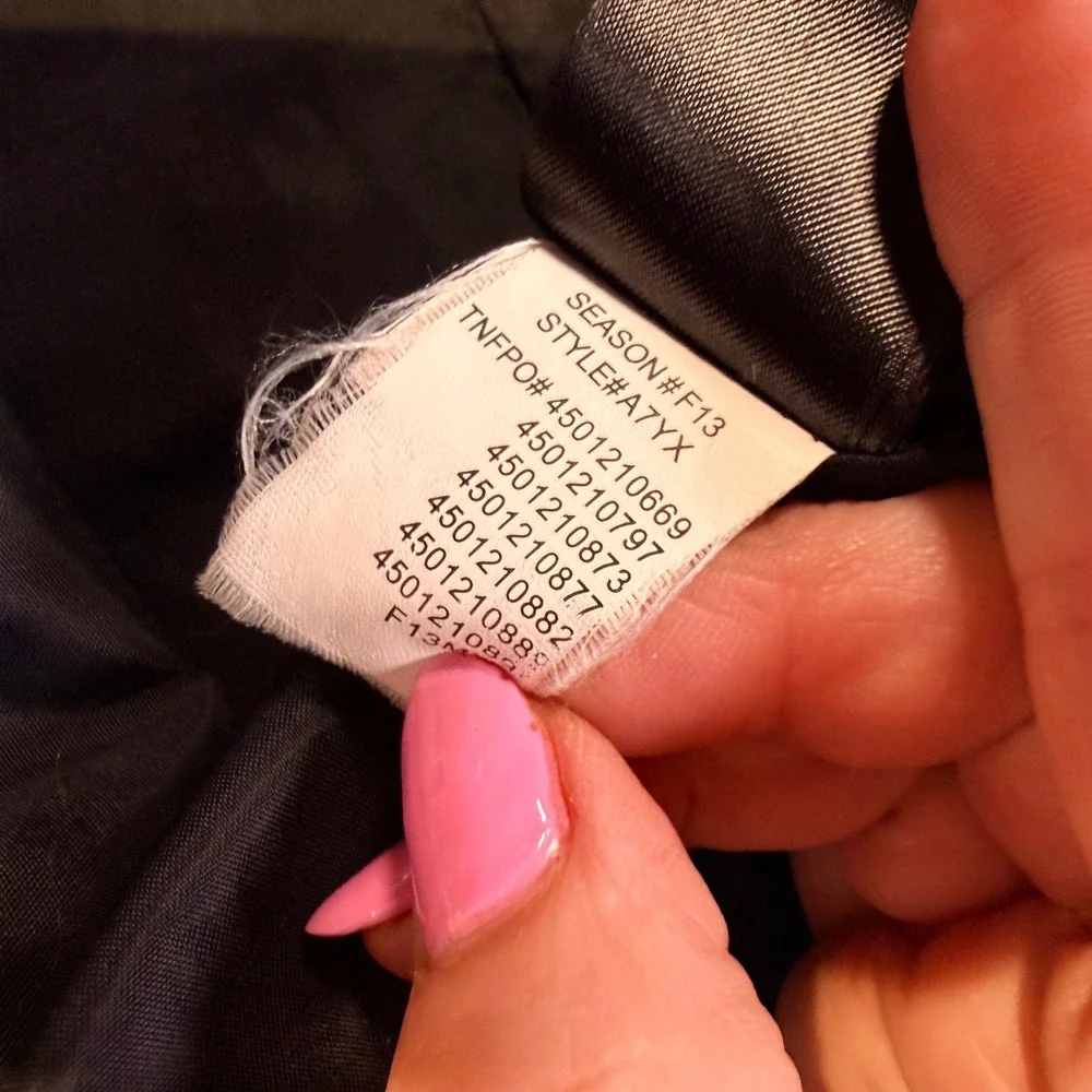 The North Face brand north